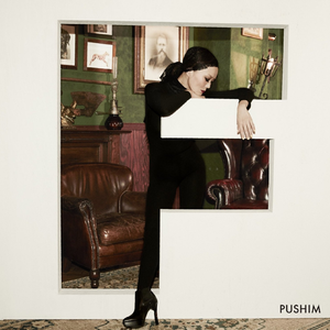 成人日韩熟女高清视频
