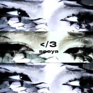 成人日韩熟女高清视频
