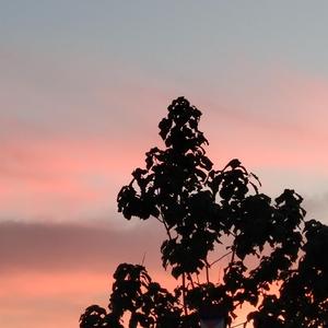 成人日韩熟女高清视频
